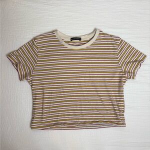 Brandy Melville Striped Multicolor Crop Top